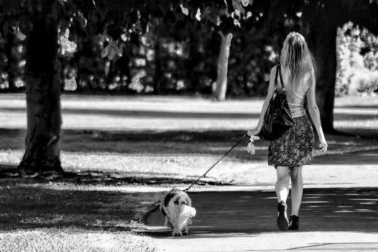 Wall Art, Girl With A Dog Walking, - PosterGully