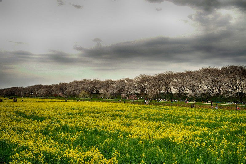 Wall Art, Limitless Time, - PosterGully