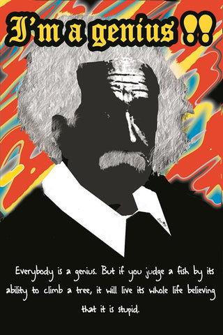 Wall Art, Albert Einstein Quote | I Am A Genius, - PosterGully