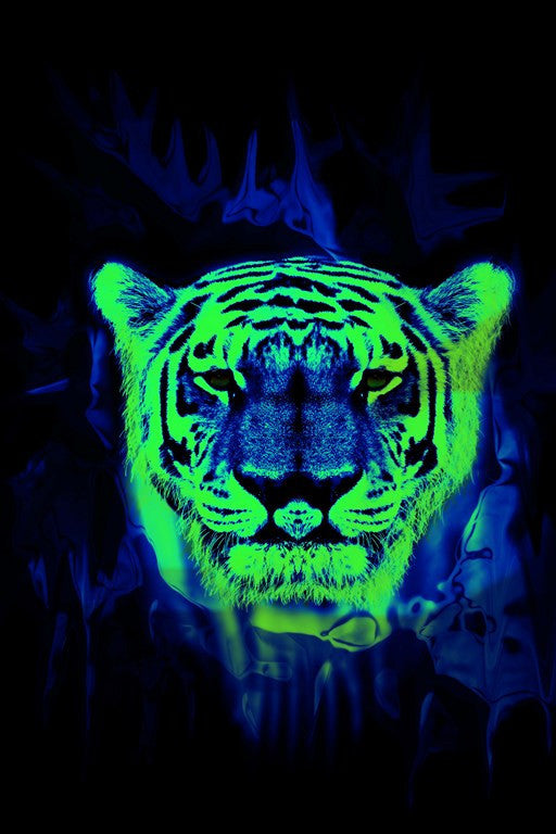 Wall Art, Neon Tiger Art, - PosterGully