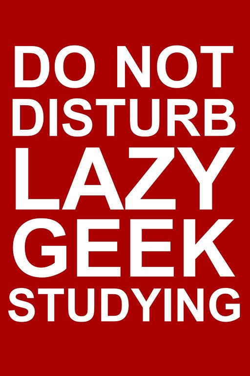 Wall Art, Do Not Disturb Lazy Geek Studying, - PosterGully