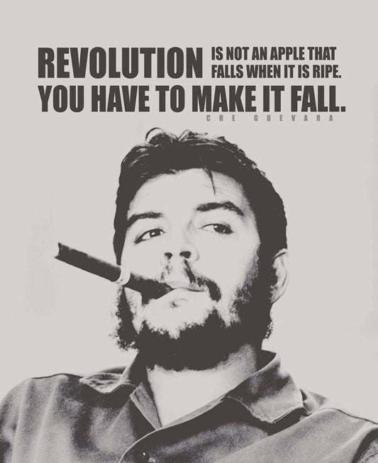 PosterGully Specials, Revolution | Che Guevara Quote, - PosterGully