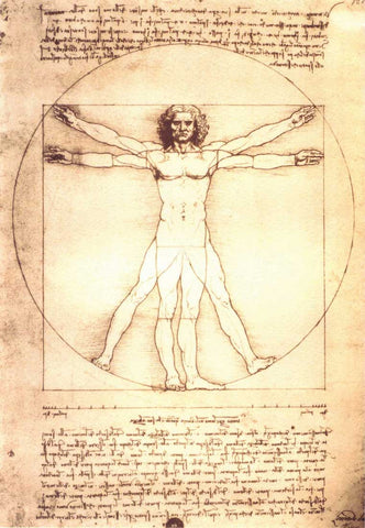 Seven Rays, Vitruvian Man by Leonardo da Vinci, - PosterGully