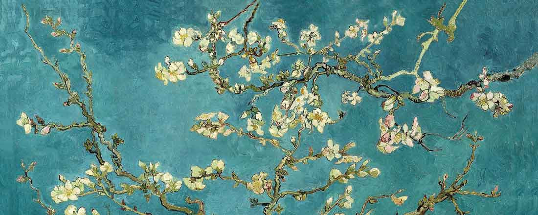 Seven Rays, Vincent Van Gogh Turquoise Almond Branches in Bloom, San Remy, 1890, - PosterGully