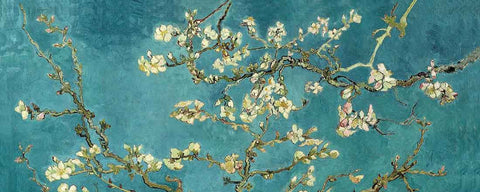 Seven Rays, Vincent Van Gogh Turquoise Almond Branches in Bloom, San Remy, 1890, - PosterGully