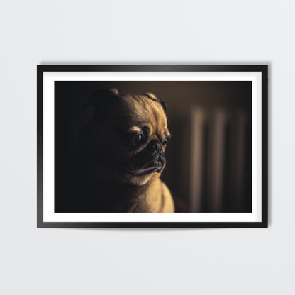 Pug Wall Art