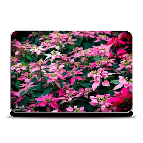 Laptop Skins, Blossom Flowers Laptop Skins
