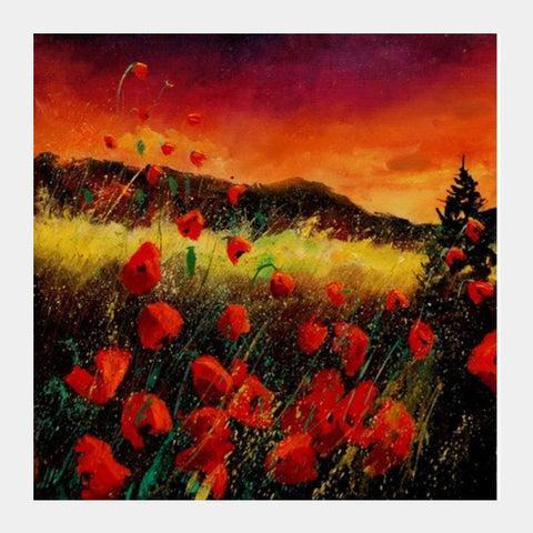 Poppies 562 Square Art Prints PosterGully Specials