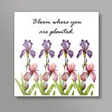 Blooming Iris Flowers Square Art Print l Artist: Seema Hooda