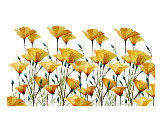 Wall Art, Yellow California Poppies Print Wall Art