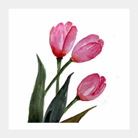 Square Art Prints, Pink Tulips Square Art Print