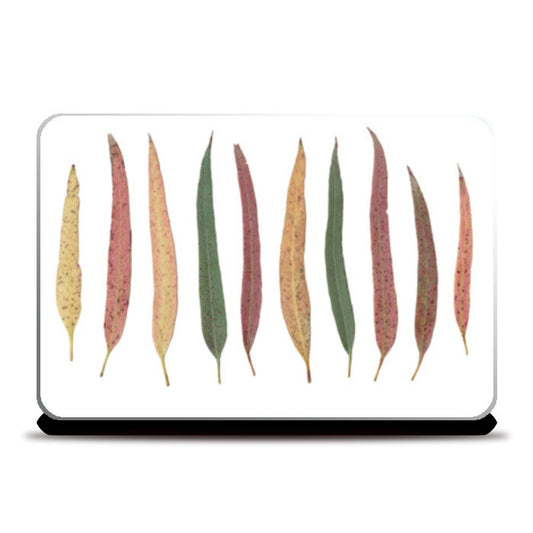 Colorful Eucalyptus Leaves Botanical Nature Design  Laptop Skins