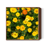 Yellow Calendula Flowers Bloom Floral Photo  Square Art Prints