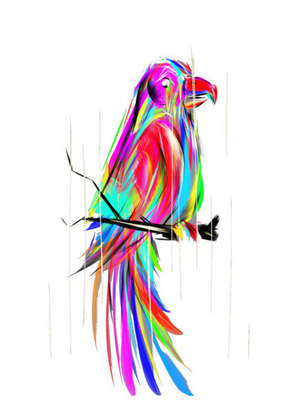 colored parrot Wall Art