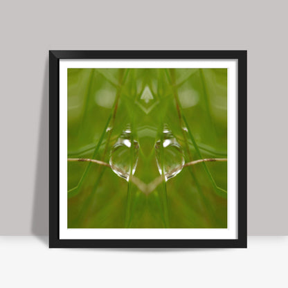 Best of Nature Square Art Prints