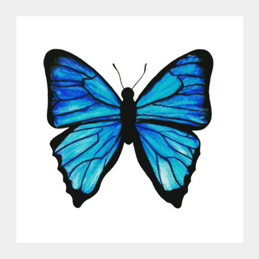 Butterfly Square Art Prints