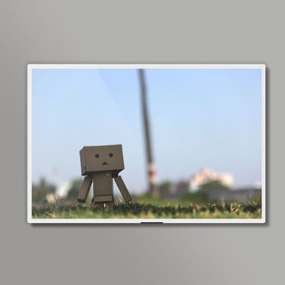 Danboard #2