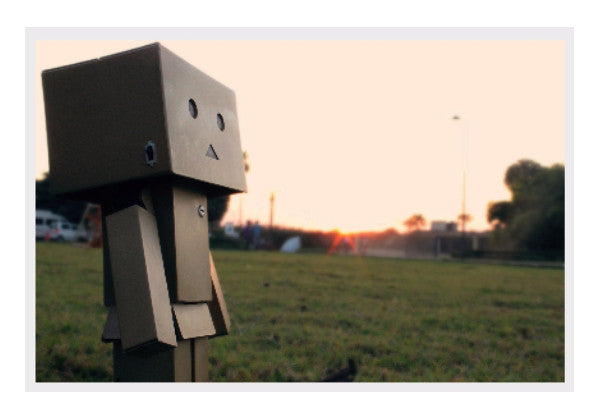 Wall Art, Danboard #1, - PosterGully