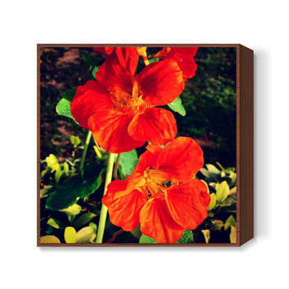 Beautiful Orange Flowers Square Art