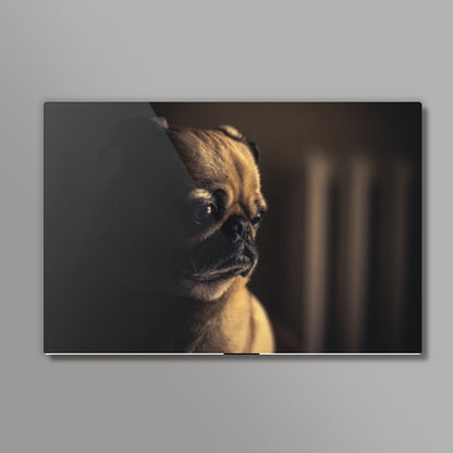 Pug Wall Art