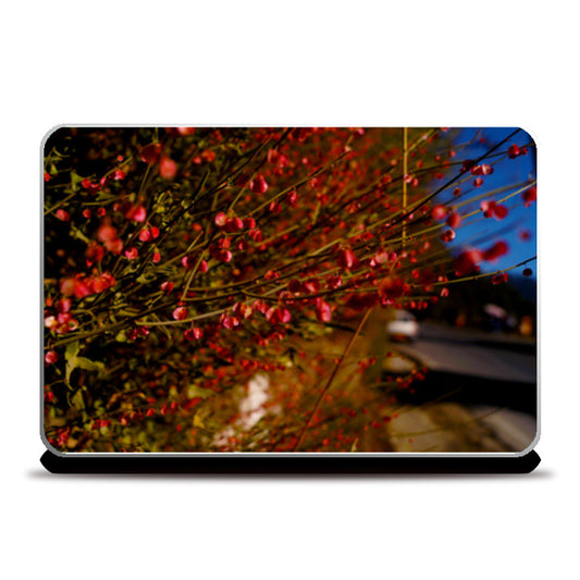 flower Laptop Skins