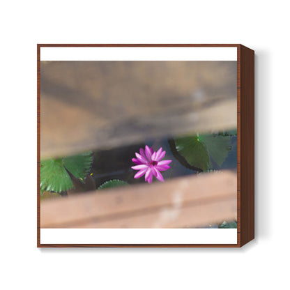 LOTUS Square Art Prints