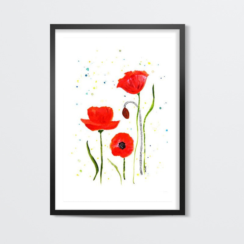 Poppy Flowers/Shweta D