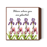 Blooming Iris Flowers Square Art Print l Artist: Seema Hooda