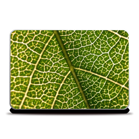 Macro Leaf | Nature Edition Laptop Skins