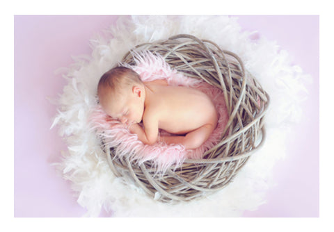 Baby Sleeping In Nest  Wall Art