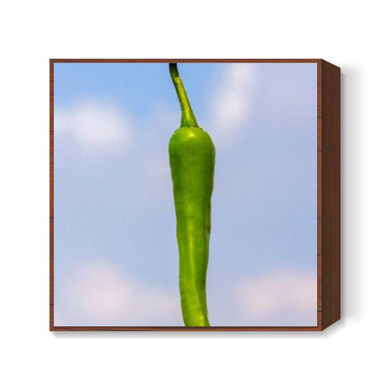 Chilli  Square Art