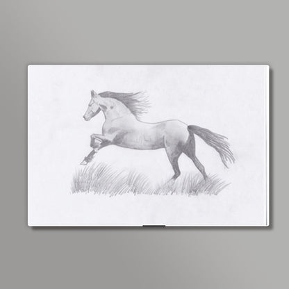 The Stallion Wall Art