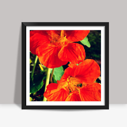 Beautiful Orange Flowers Square Art