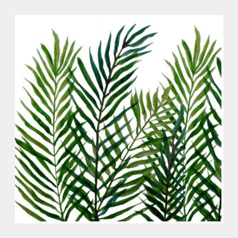 Painted Tropical Palm Tree Leaves Summer Botanical Nature Square Art Prints PosterGully Specials