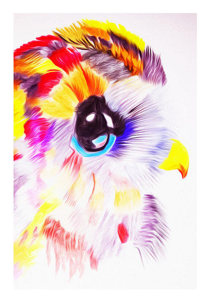 Colorful Owl Art PosterGully Specials
