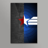 Captain america Winter Soldier combined marvel Wall Art