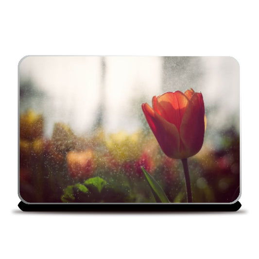 Laptop Skins, Roses Laptop Skin