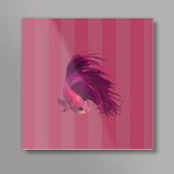 Pink Fish Square Art Prints