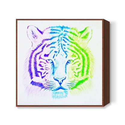 Three Coloured Tiger Square Art Prints