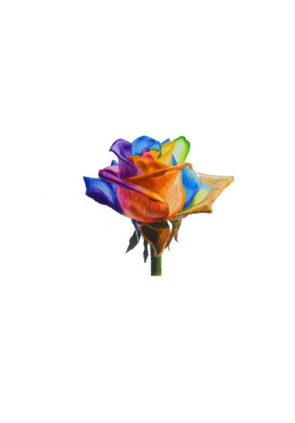 Wall Art, Rainbow rose Wall Art