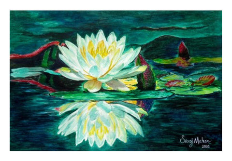 Water Lily Art PosterGully Specials
