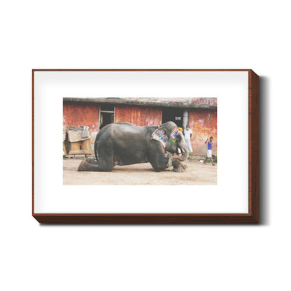 Haati mere saathi Wall Art