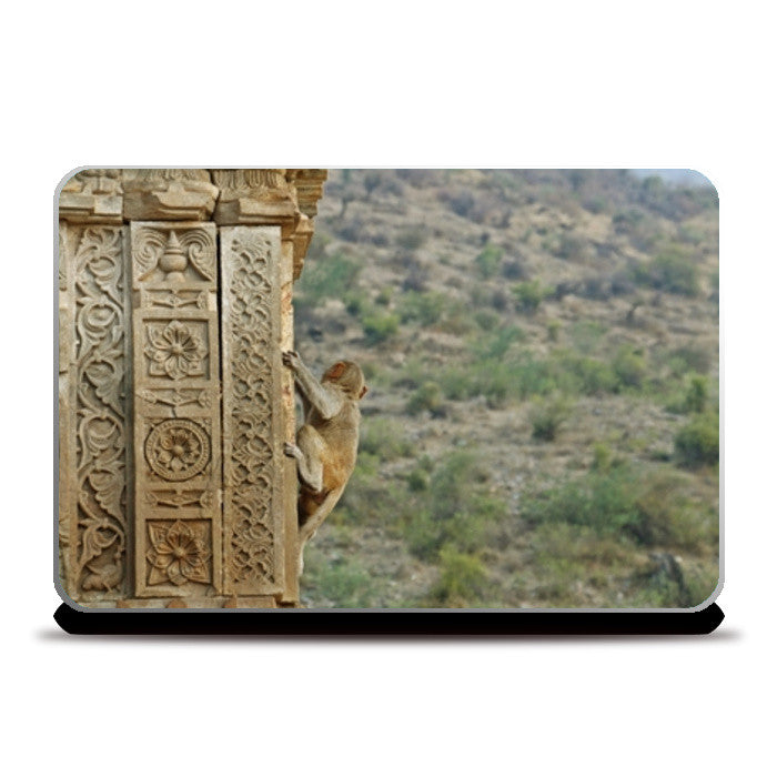 Laptop Skins, Into the wild Laptop Skins