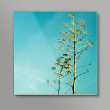 Fern in the Turkish sky 2 Square Art Prints