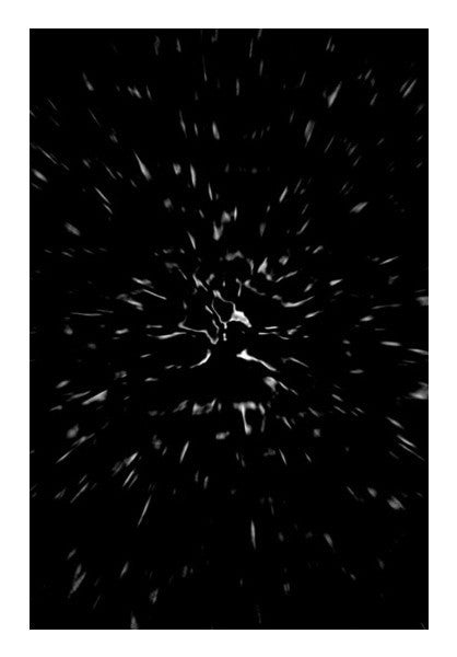 Black Eagle Art PosterGully Specials