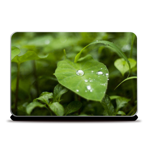 Water Drops Love Green Laptop Skins