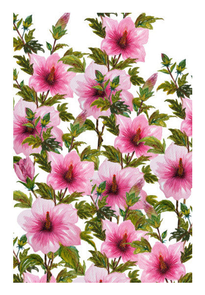 Beautiful Tropical Pink Hibiscus Flowers Botanical Watercolour Floral Decor Painting Art PosterGully Specials