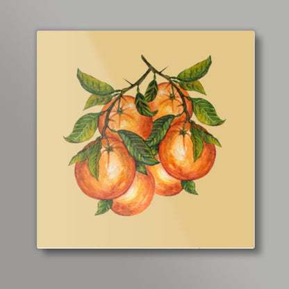 Bunch Of Oranges Watercolor Fruit Painting Square Art Prints