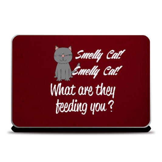 Laptop Skins, FRIENDS Smelly Cat, - PosterGully