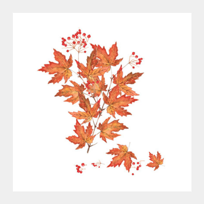 Beautiful Autumn Maple Leaves Watercolor Handpainted Bouquet Square Art Prints